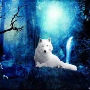 Meet your Posher, Terri